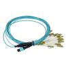 OPTON patchcord MPO-LC OM3 12F 0.5m